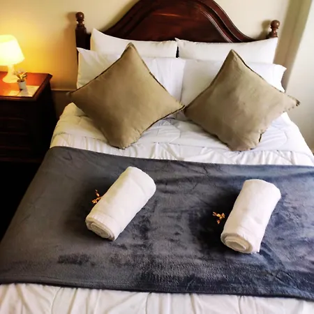 Appartement Liberdade Royal Direito Braga